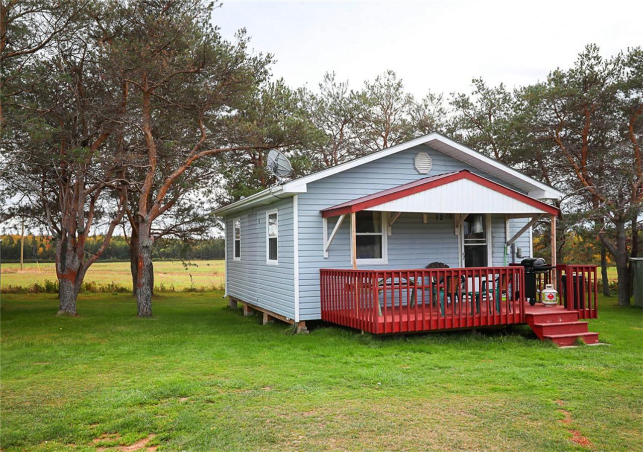 Island Life Cottages ブラックリー・ビーチ 部屋 写真